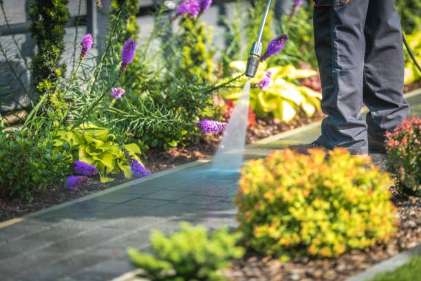 Best Winterizing Services  in Collings Lakes, NJ