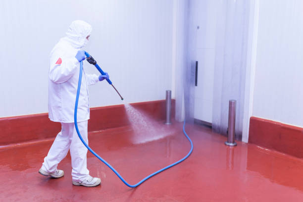 Best Building Exterior Washing  in Collings Lakes, NJ