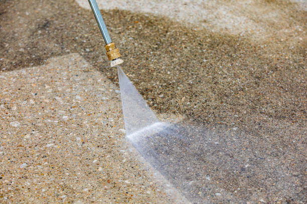 Best Roof Washing  in Collings Lakes, NJ